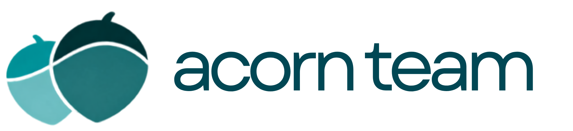 Acorn Team