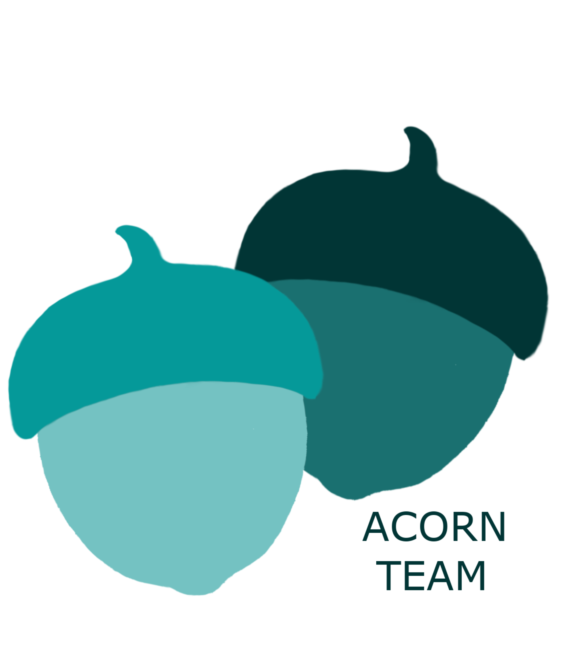 ACORN TEAM